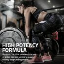 Bronson CLA 3000 Extra High Potency Supports Healthy Weight Management Lean Muscle